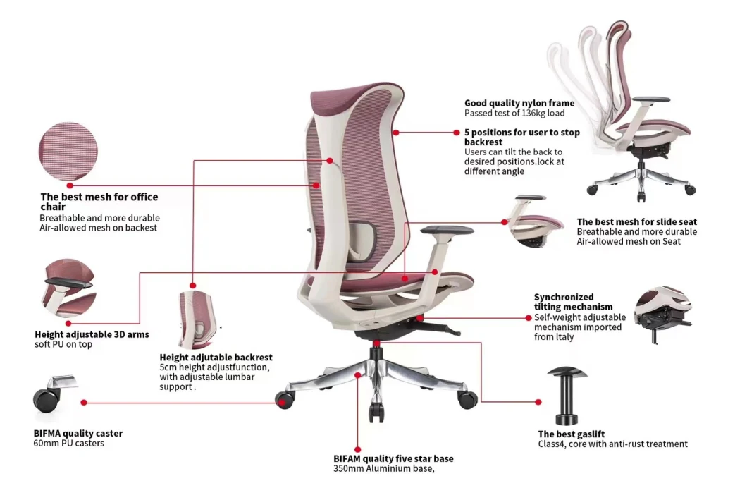 High-Back Swivel Ergonomic Manager Executive Office Chair with Grey Back