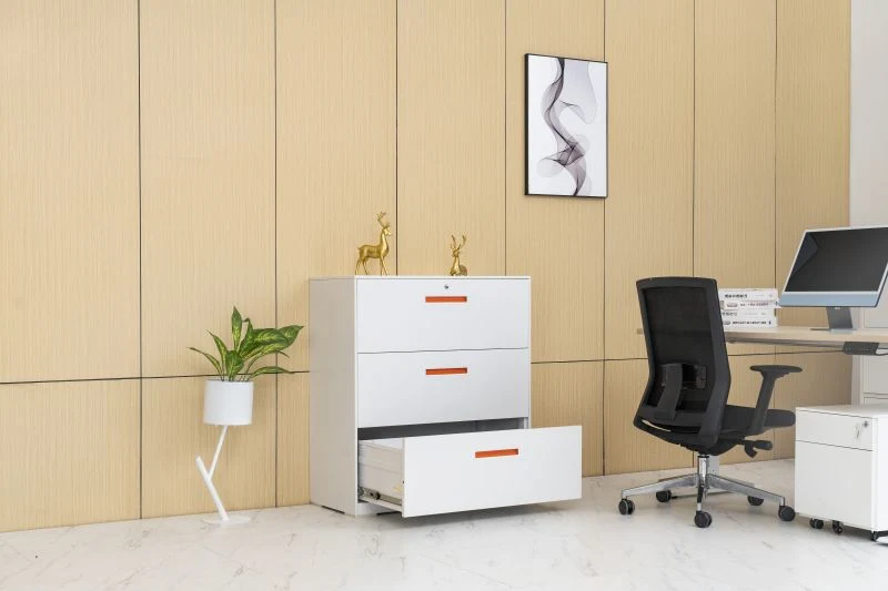 2 Drawer Steel Filing Cabinet Double Lateral File Storage for Files/A4/F4