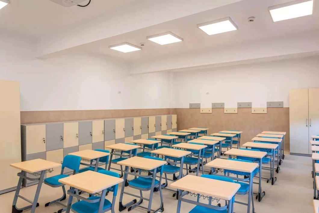 Primary School Classroom Training Student Chair and Desk