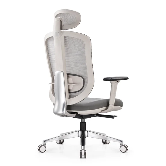 Chaise exécutive en maille de bureau d'ordinateur ergonomique avec support lombaire en aluminium chaise à dossier haut fixe tout en inclinant